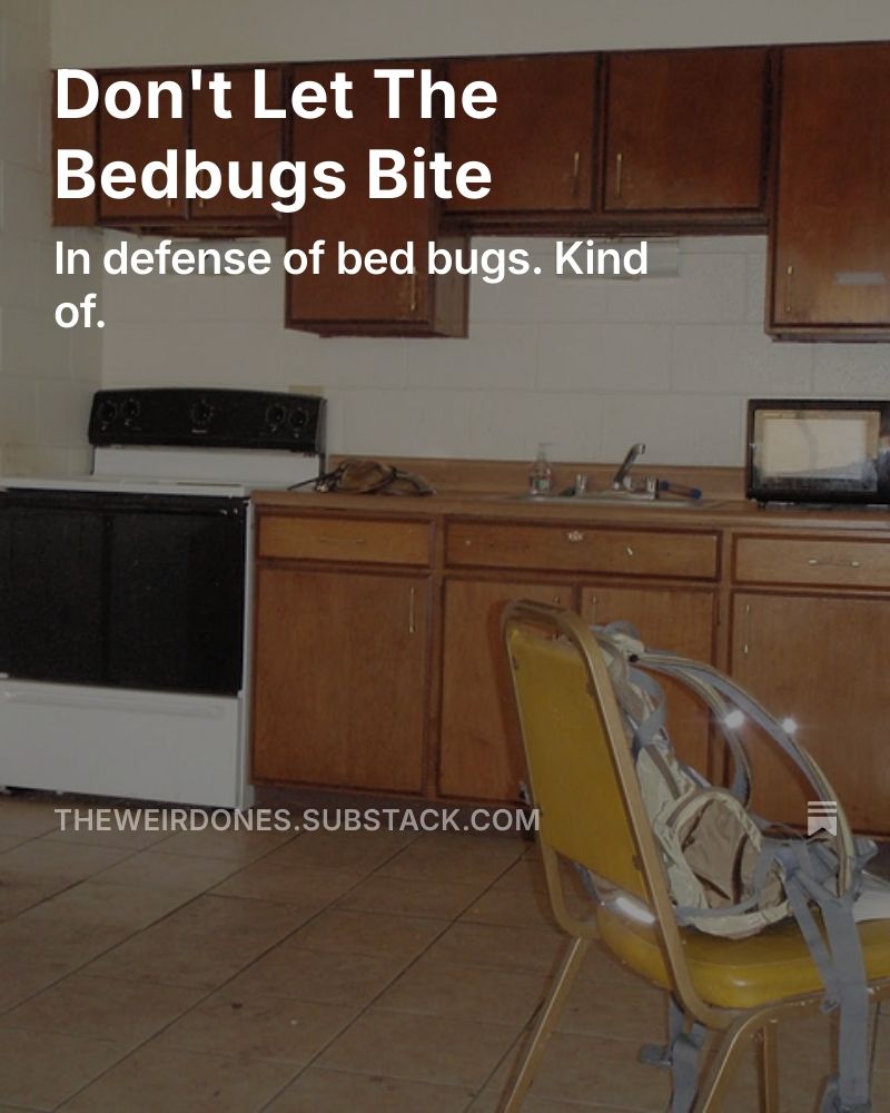 Don't Let The Bedbugs Bite