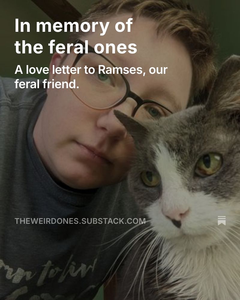 In Memory of the Feral Ones