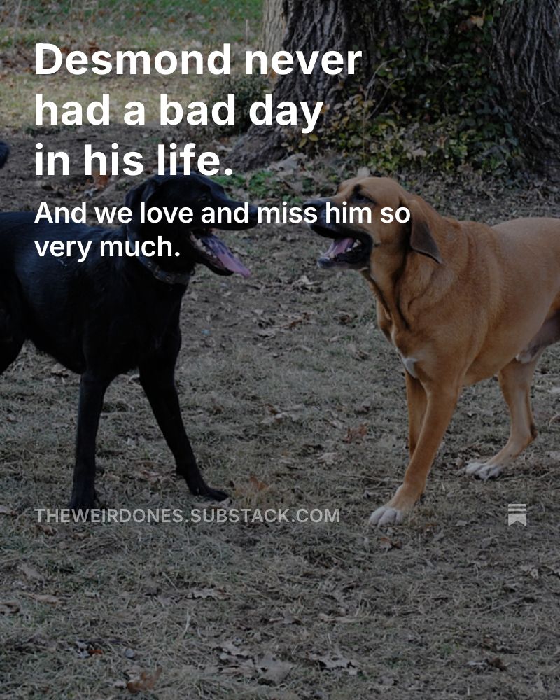 Desmond never had a bad day in his life.