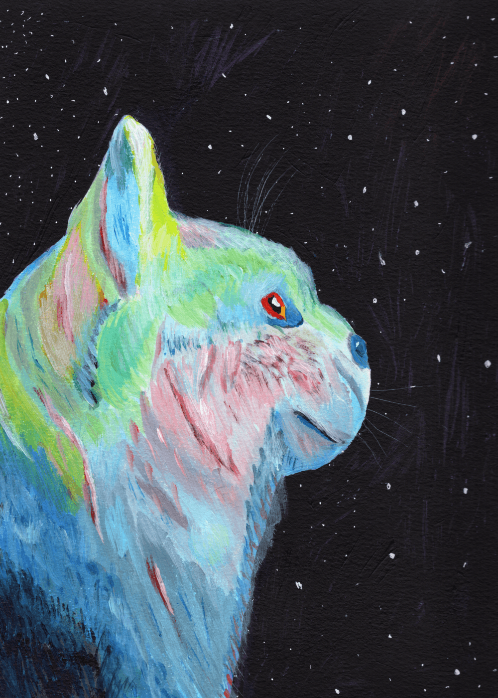 A Lone Cat In The Universe